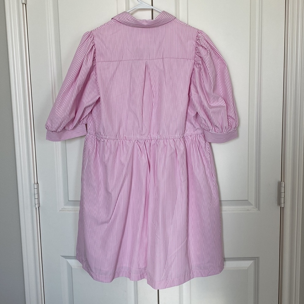 NWT Pink Striped Dress - Picture 4 of 5